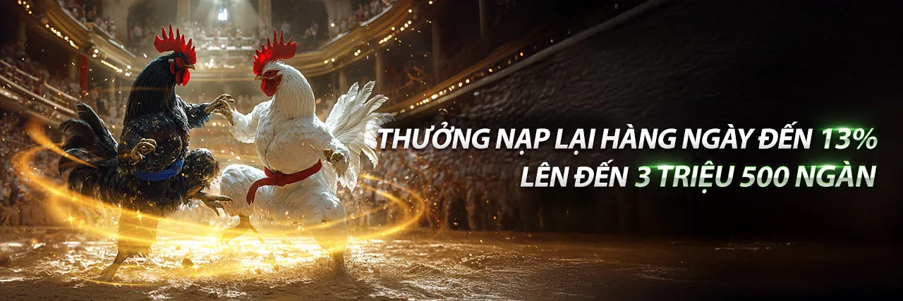 Đá gà trực tuyến 33win chính thức
