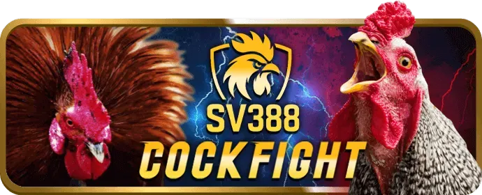 Trải nghiệm sòng bạc trực tiếp 33win